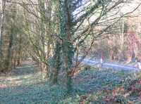 Heddon wood - SOLD