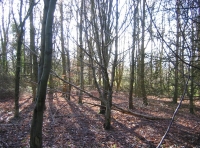 Heddon wood - SOLD photo 2