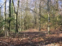 Heddon wood - SOLD photo 5