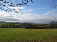 Heddon wood - SOLD photo 6