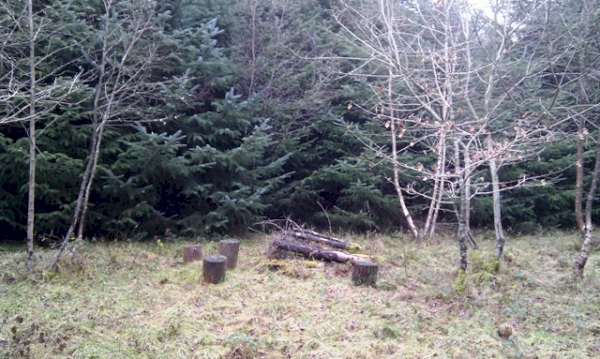Heltor Wood - SOLD