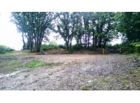 Holy Moor Wood - SOLD