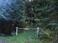 Entrance to the woodland for sale