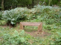 Bench within Lovehaynes Wood