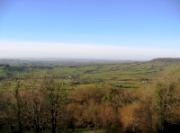 Mead Wood