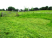Nethercott Meadow