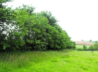 Nethercott Meadow photo 3