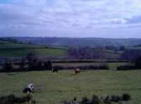 North Hill Wood - SOLD photo 6