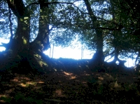 A magical place