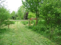 Pepper Wood