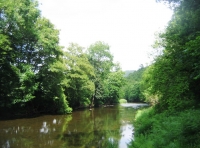 Quoit Wood