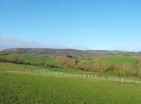 Railway Meadow - SOLD