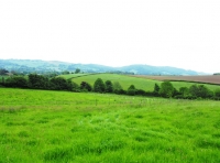 Railway Meadow photo 2