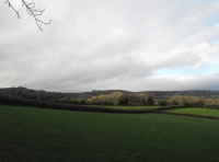 Rippon Tor Wood - SOLD