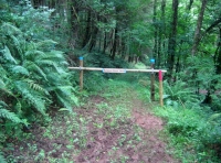 Entrance to Sampson Break Wood
