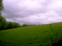 View from the woodland