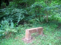 A relaxing place to sit by the stream