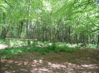 Sidley wood - SOLD