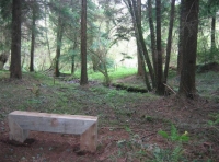 Ideal place to sit and enjoy the woodland