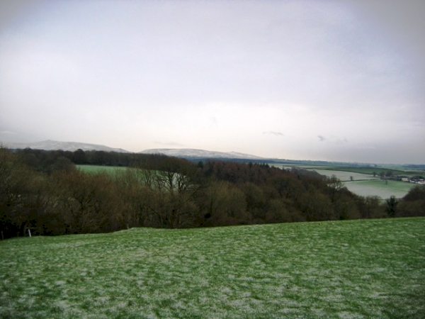 St Mary's Wood