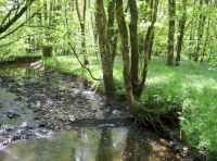The River Lew flows along the boundary