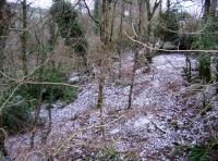 St Mary's Wood in the snow