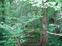 A relaxing place to sit and enjoy the peace