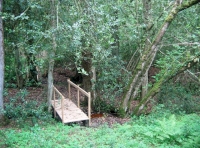 Bridge across the stream
