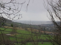 Sweetcombe wood