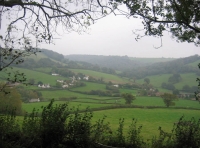 Sweetcombe wood photo 8