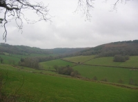 View from the east of the woodland
