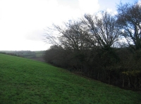 Tarka wood - SOLD