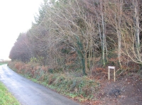 Tarka wood - SOLD photo 2