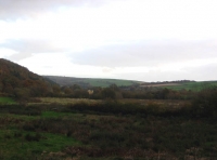 View of the meadow