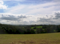 Tillerton Wood