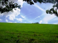 View from within