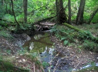 Stream along the northern boundary