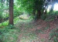 Good internal track and Devon hedge bank