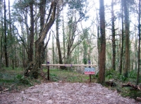 Tor Wood - SOLD