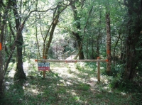 Trony Wood