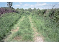 Viney Wood - SOLD photo 4
