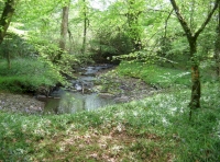 River Lew