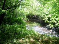 Sunny river bank spot for a picnic