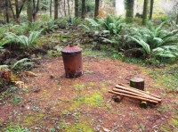 Wyld Wood - SOLD photo 3