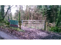 Wyld Wood - SOLD photo 5