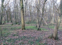 Ashurst Wood - SOLD