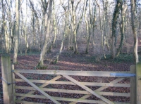 Ashurst Wood - SOLD photo 6