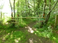Aylmer Wood - SOLD