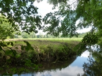 Beaker Wood