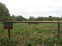 Meadow entrance